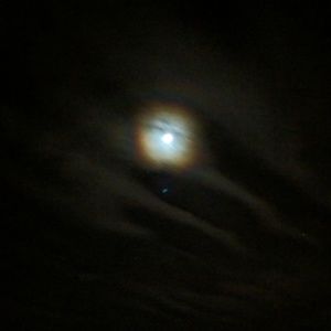 Meet your Posher, Jen